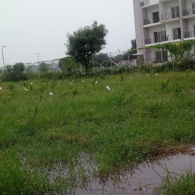 Jindal Global City, Sonipat walking route map in Sonipat