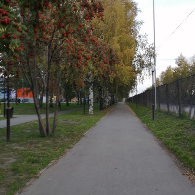 City Park walking route map in Belovo