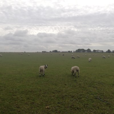 Fairfield - Arsley - Fairfield via Blue Lagoon walking route map in Letchworth Garden City