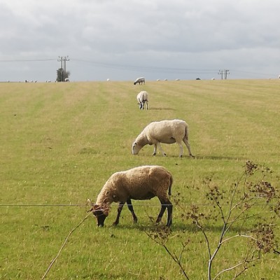 Around Fairfield via Standalone farm route walking route map in Letchworth Garden City