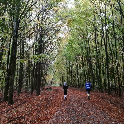 From the long square to Coppengrave walking route map in Delligsen