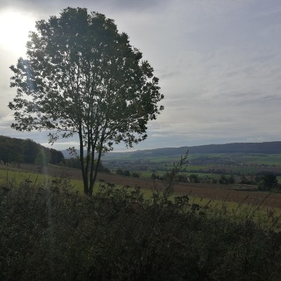 Levedagsen - Hexenküche - Lönsturm - Levedagsen walking route map in Salzhemmendorf
