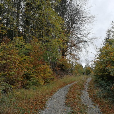 Kaierde - Dornbachtal walking route map in Delligsen