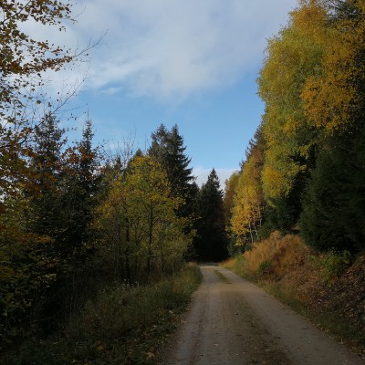 Red fox walking route map in Grünenplan