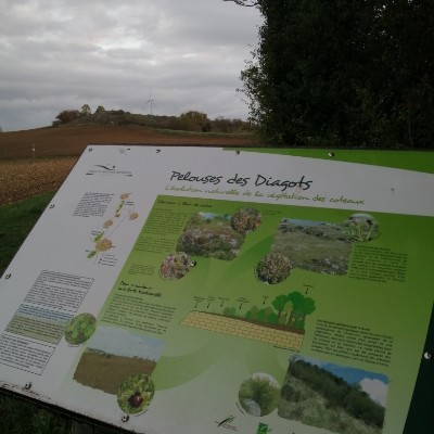 Chemin des Diagots walking route map in Mazerier