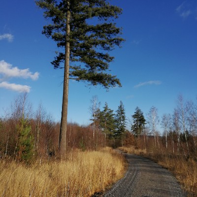 Coppengrave walking route map in Duingen