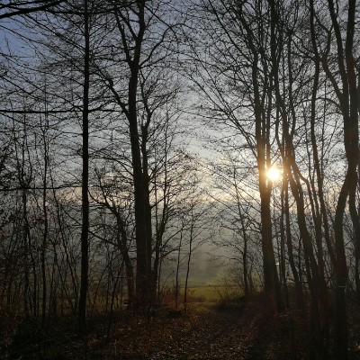 Coppengrave walking route map in Duingen