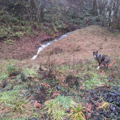 Culvert and back walking route map in Corvallis