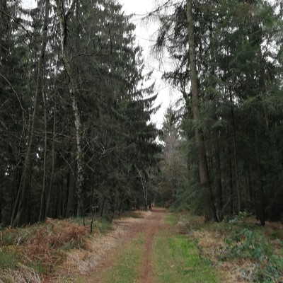 In Hils walking route map in Delligsen