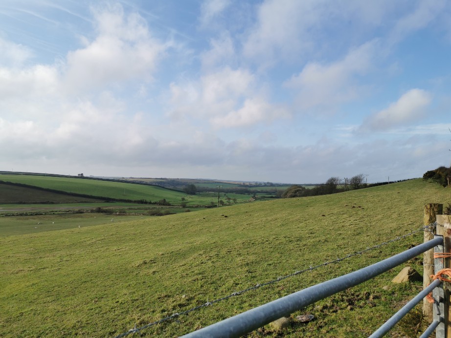 手綱パス 散歩道 Scleddau フィッシュガード ウェールズ Pacer