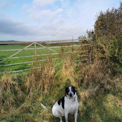 Bridle Path Sclews walking route map in Letterston