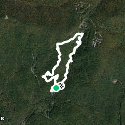Amicalola Falls State Park Trail