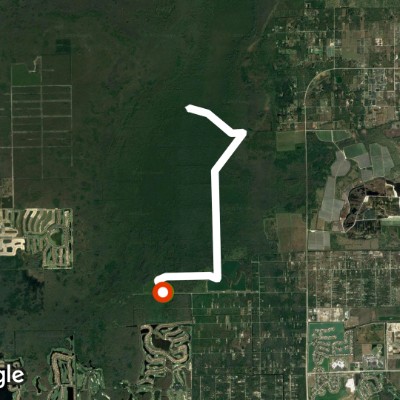 C.R.E.W. Bird Rookery Swamp