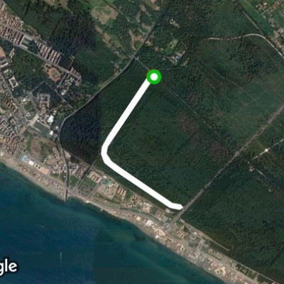 Pineta di Ostia Lido-Roma