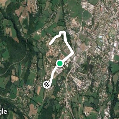 promenade des chiens