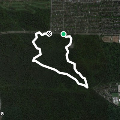 Pacific Spirit Regional Park 1