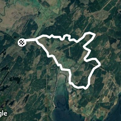 f1 forest fire tower