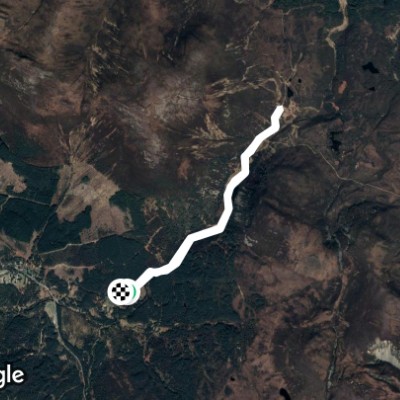 Glenmore to Ryvoan Bothy