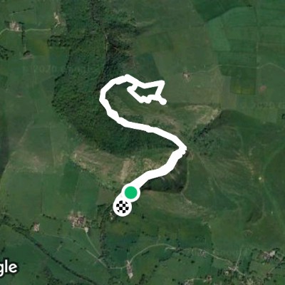 Dovedale NNR