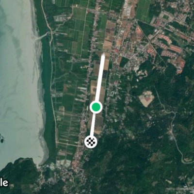 padi field,Kampung Terang