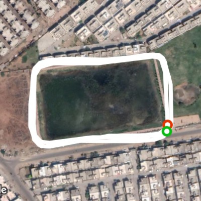 Route near Banyan tree