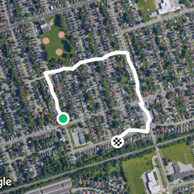 our morning walk
