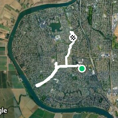 Beautiful willow🍁👣