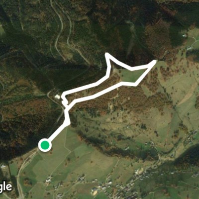 Laufen am Morgen Schauensland am 25.11.2020