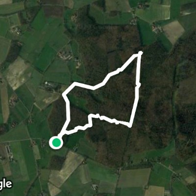 Dämmerwald Teufelsstein