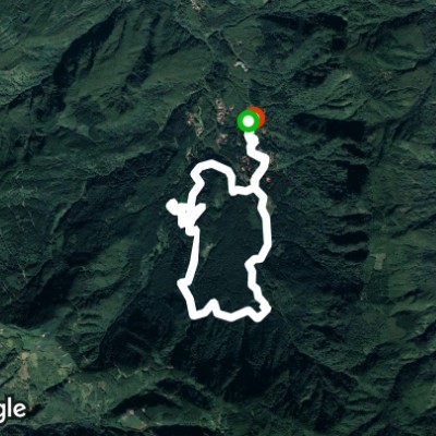 溪頭森林浴步道