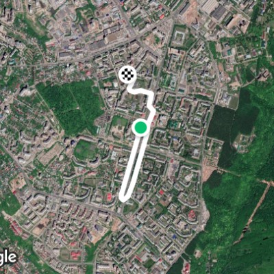 зелёная роща