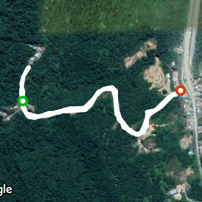 Bukit Mas Forest Reserve