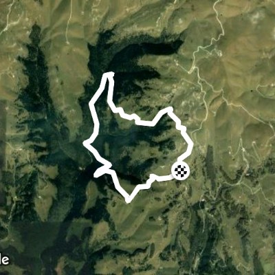 Foresta dei Folignani