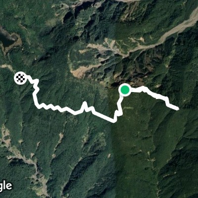 台灣山毛櫸步道