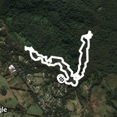 Purling Brook Falls Circuit