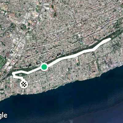 actividad del domingo