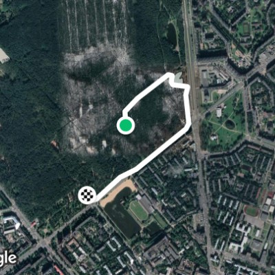 парк Сосновка