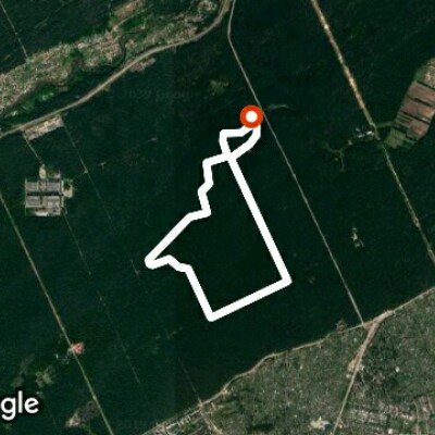 Лыжня здоровья