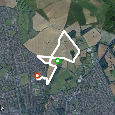 Stopsley Common
