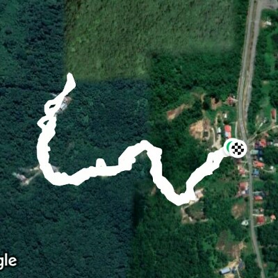 Bukit Mas Forest Reserve