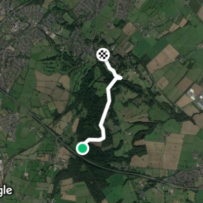 Woodland walk walking route map in Old Warren