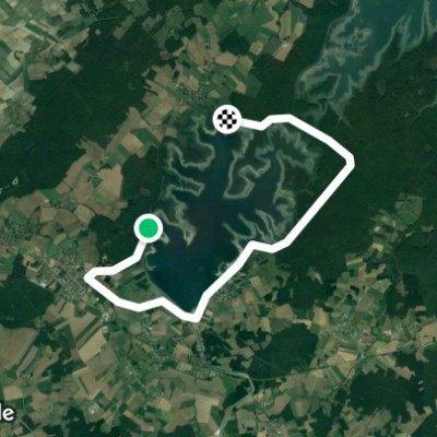 Ligne des Comtes de Champagne