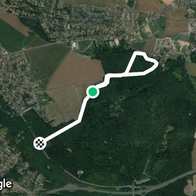 Forêt de Sainte-Apolline