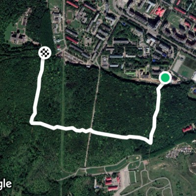 Саранск юго западный лес