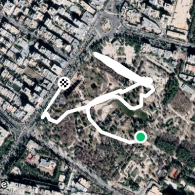 Health is the most important goal