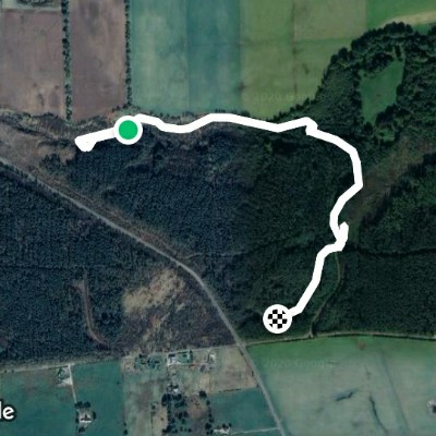 Skelbo Forest Walk, Sculpture Trail