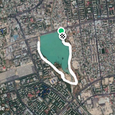 Лесополоса оз.Сайран