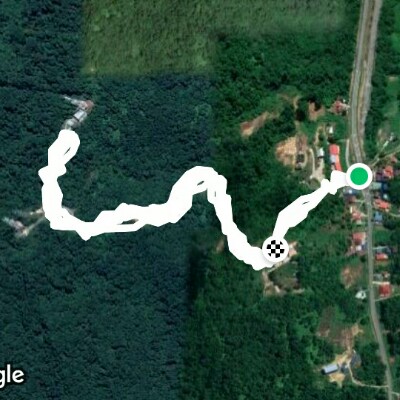 Bukit Mas Forest Reserve