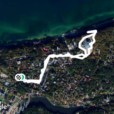 Flamingo walking route map in Svetlogorsk