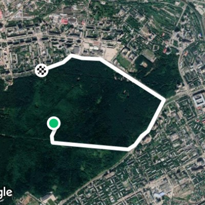 Черняевский (Балатовский) лес